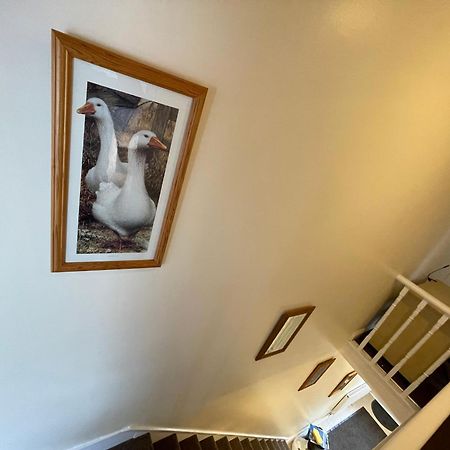 Beanies Lornestreet Four Bed House Apartment Swindon Bagian luar foto